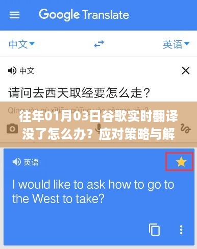 谷歌实时翻译失效应对策略与解决方案