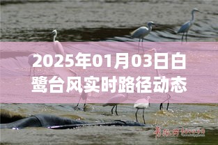 白鹭台风实时路径动态图（2025年）