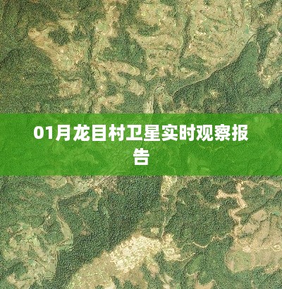 龙目村卫星观测报告，最新实时观察分析