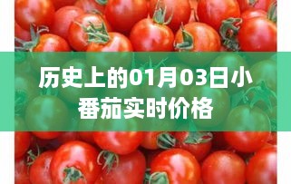 2025年1月4日 第3页