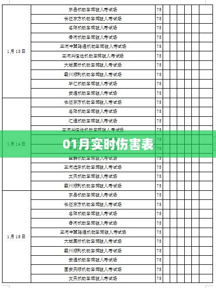 最新实时伤害表，深度解析伤害数据