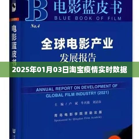 淘宝疫情实时数据报告，2025年1月3日更新