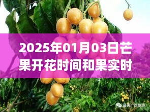 2025年1月5日 第10页