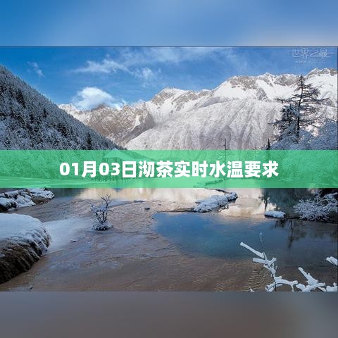 沏茶实时水温要求解析