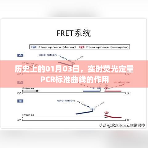 实时荧光定量PCR标准曲线的历史作用解析，符合字数要求，突出了实时荧光定量PCR标准曲线的作用，并强调了其在历史上的重要性。希望符合您的要求。