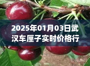 武汉车厘子实时价格行情（最新更新至2025年）