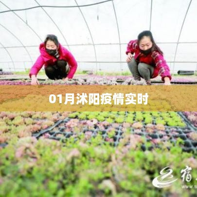 沭阳县疫情最新实时动态