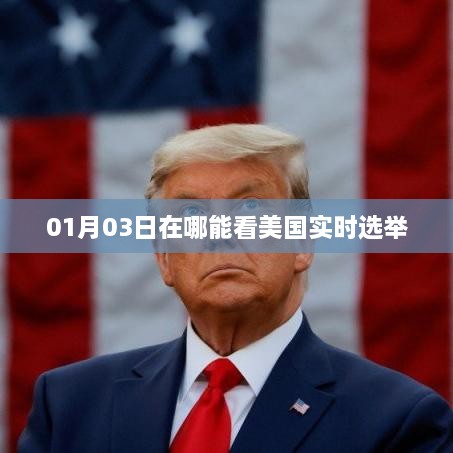 美国大选实时结果查询指南