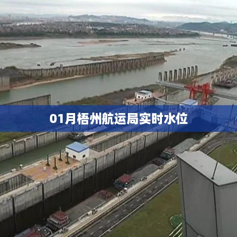 梧州航运局实时水位查询报告