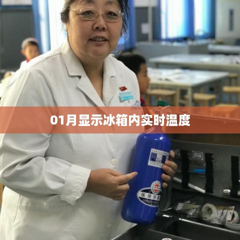 一月实时温度显示冰箱内部温度监控