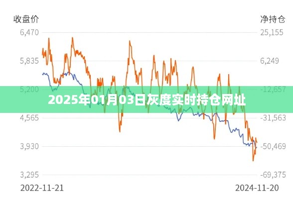 2025年实时持仓网址灰度上线通知