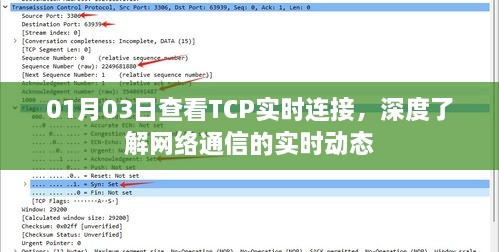 TCP实时连接监控，掌握网络通信动态