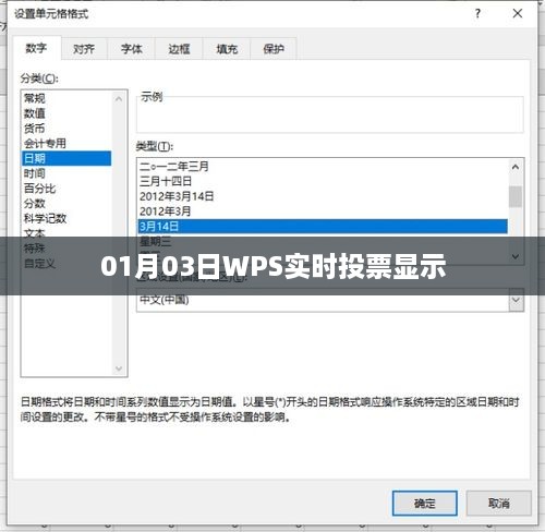 WPS实时投票结果揭晓，日期01月03日