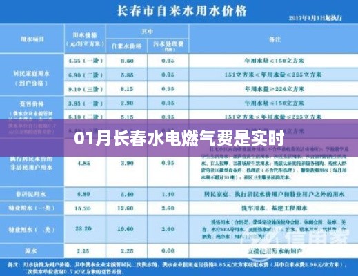 长春水电燃气费实时查询指南