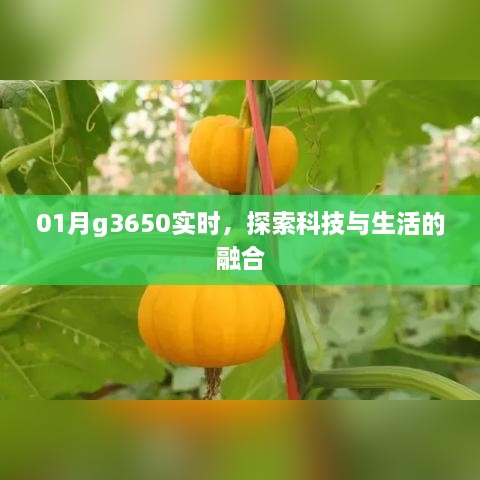 科技与生活的融合，探索实时G3650的魅力