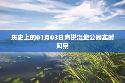 「历史上的今日，海洪湿地公园实时风景一览」