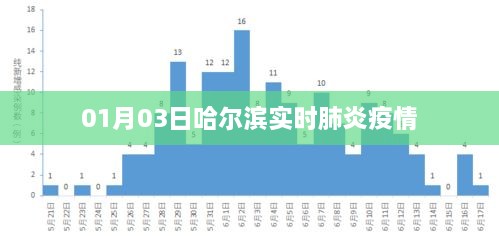 哈尔滨实时肺炎疫情更新动态（最新消息）