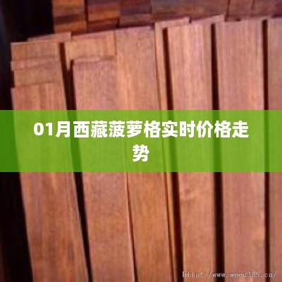 西藏菠萝格实时价格走势分析（最新更新）