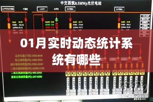 实时动态统计系统一月份概览