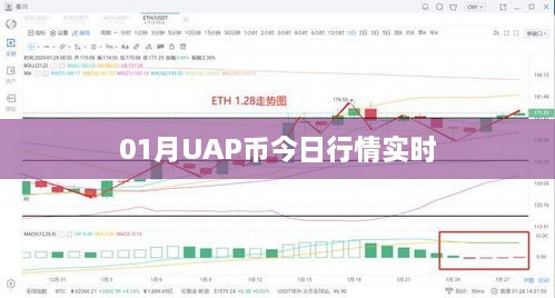 UAP币最新行情走势分析，今日实时价格动态