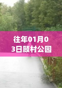 顾村公园一月份实时人流数据播报