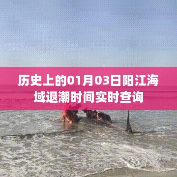 阳江海域退潮时间查询，历史与实时数据同步更新