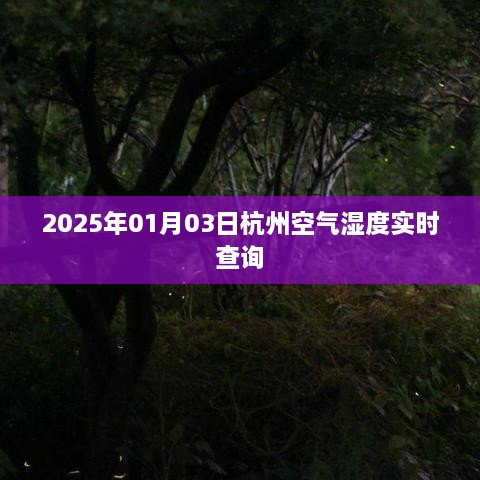 『杭州空气湿度实时查询，精准数据尽在掌握』