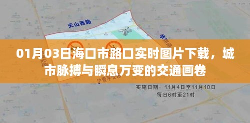 海口市路口实时图片下载，交通画卷一瞥