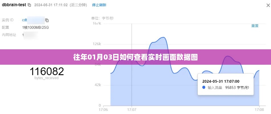 实时画面数据图查看攻略，掌握查看方法