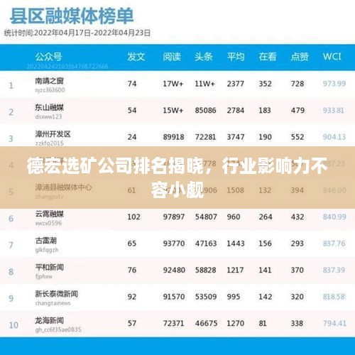 德宏选矿公司排名揭晓，行业影响力不容小觑