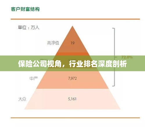 保险公司视角，行业排名深度剖析