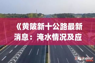 《黄陂新十公路最新消息：淹水情况及应对措施详解》