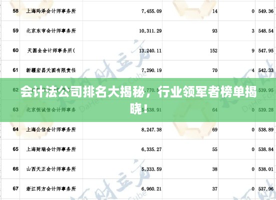 会计法公司排名大揭秘，行业领军者榜单揭晓！
