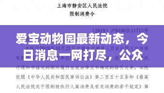 爱宝动物园最新动态，今日消息一网打尽，公众关注焦点全解析