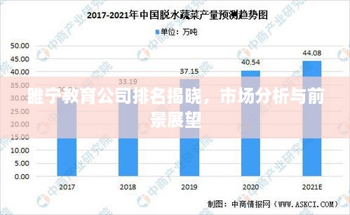 睢宁教育公司排名揭晓，市场分析与前景展望