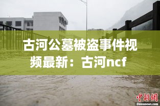 古河公墓被盗事件视频最新：古河ncf 