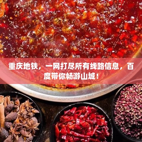 重庆地铁，一网打尽所有线路信息，百度带你畅游山城！