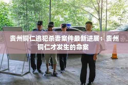 贵州铜仁逃犯杀妻案件最新进展：贵州铜仁才发生的命案 