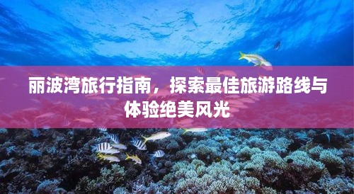 丽波湾旅行指南，探索最佳旅游路线与体验绝美风光