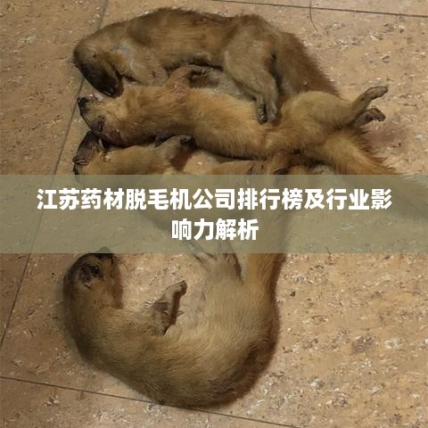 江苏药材脱毛机公司排行榜及行业影响力解析