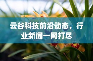 云谷科技前沿动态，行业新闻一网打尽