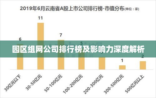 园区组网公司排行榜及影响力深度解析