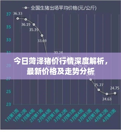 今日菏泽猪价行情深度解析，最新价格及走势分析