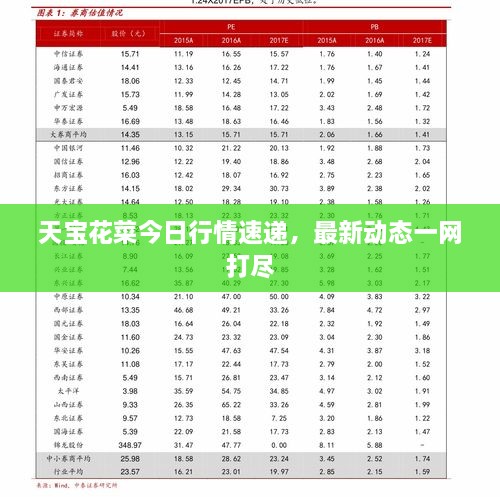 天宝花菜今日行情速递，最新动态一网打尽