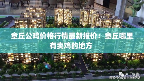 章丘公鸡价格行情最新报价：章丘哪里有卖鸡的地方 