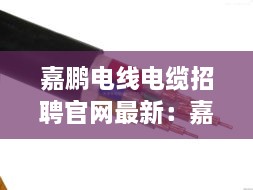 嘉鹏电线电缆招聘官网最新：嘉鹏新材料 