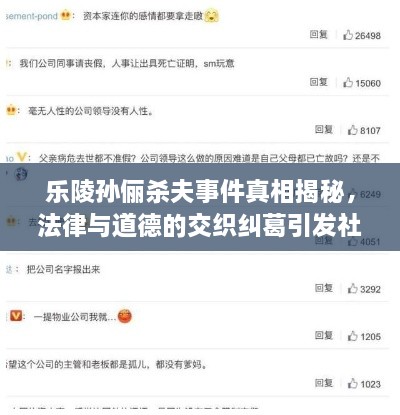 乐陵孙俪杀夫事件真相揭秘，法律与道德的交织纠葛引发社会关注热议