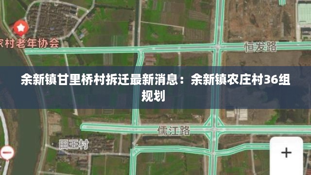 余新镇甘里桥村拆迁最新消息：余新镇农庄村36组规划 