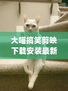 大喵搞笑剪映下载安装最新版：大喵喵是什么东西 