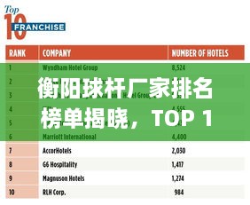 衡阳球杆厂家排名榜单揭晓，TOP 10企业榜单重磅出炉！